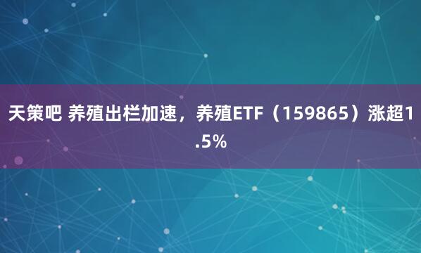 天策吧 养殖出栏加速，养殖ETF（159865）涨超1.5%