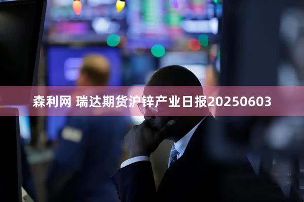 森利网 瑞达期货沪锌产业日报20250603