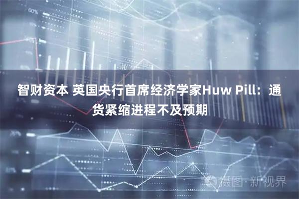 智财资本 英国央行首席经济学家Huw Pill：通货紧缩进程不及预期
